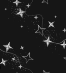 ・the star's club・
