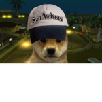 Tyenop the doge