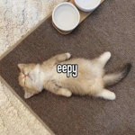 eepy crew