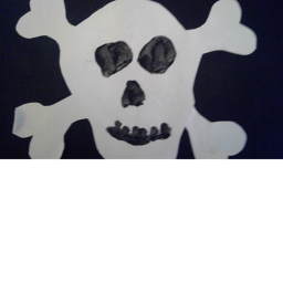 Pirate life