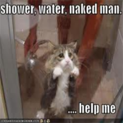 Shower+Water+Kitty+Naked Man= Scary Roblox decal