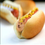hotdog's hang out group