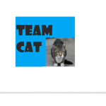 Team cat (team of the cats)