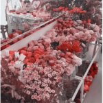 elliefloral