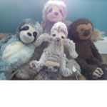 Legendary sloth