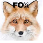 FOX MAGADAN