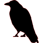 Crow_squad
