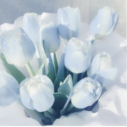 ˚ ୨୧ ˚
