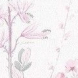 ✧