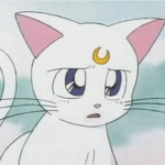 모조품 ʕ•ᴥ•ʔ