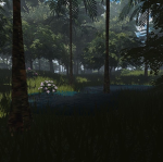 Forest Camp