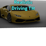 Realistic Driving TM