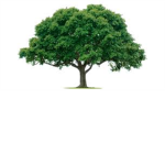 The Tree-Born Empire