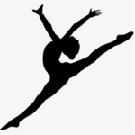 .•*Shooting Stars Gymnastics*•.
