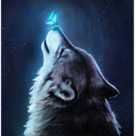 The Night Canines