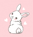 Solo per chi ama i conigli