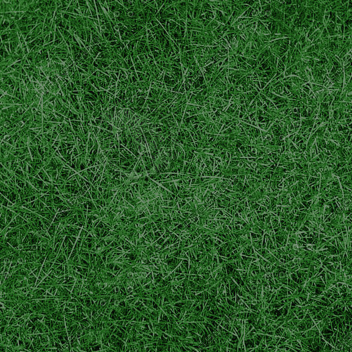 Touch grass if you like toxic slenders (Update)