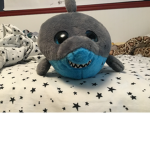 Sharks fam