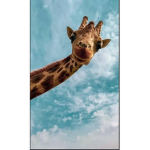 Llama Drama <3
