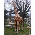 Giraffe City!
