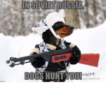 Fun Dogs United