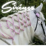 S1RÉNES