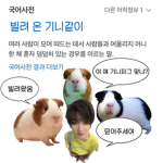 애기듦