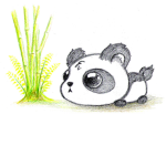 The panda fan gang