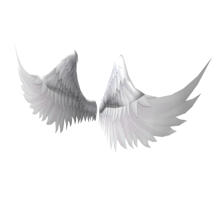 Alas de Angel✨