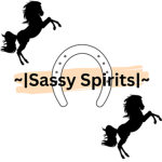 ~|Sassy Spirits Riding School|~