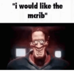 McRib fan club
