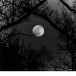 DevilishMoon