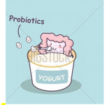 The Yogurt Squad