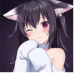 {580} Blocc Shooting Cryps {187}