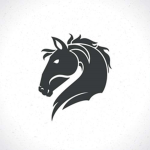 Horses are for Life Group