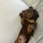 ˚୨୧⋆｡˚ ⋆