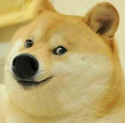 doge troops working on it