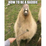 CapybaraLuvers
