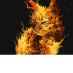 FireCat's Gaming Group