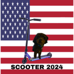 raccoon with grape 2024