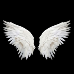 Angel After Dark