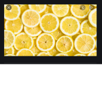 The lemon group xxx