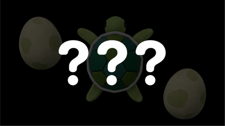 🐢Sea Turtle Pet Event