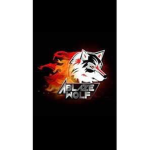 Wolf Blaze Group!