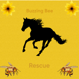 ~ Buzzing Bee Rescue ~