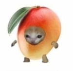 <Mango>