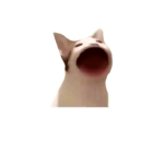 PopCatFansPro