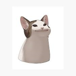 CATS SERVER
