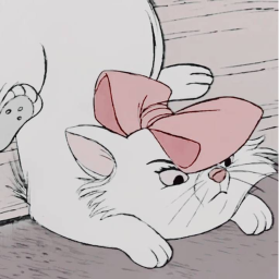 ˗ˏˋ ♡ ˊˎ˗