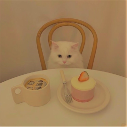 ✩
